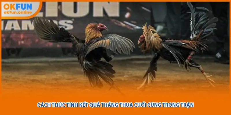 Cách thức tính kết quả thắng thua cuối cùng trong trận