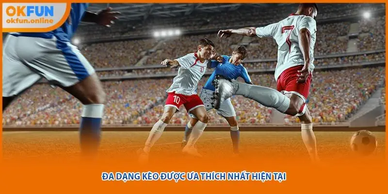 Đa dạng kèo được ưa thích nhất hiện tại