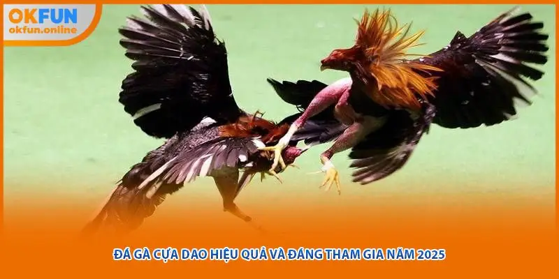 Đá Gà Cựa Dao Hiệu Quả Và Đáng Tham Gia Năm 2025