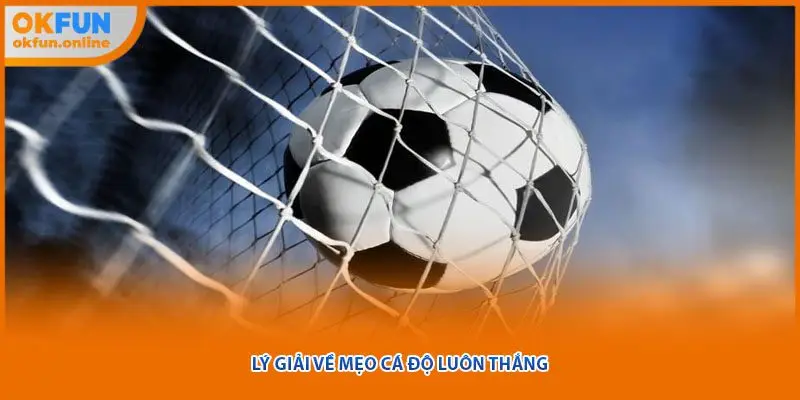 Lý giải về mẹo cá độ luôn thắng