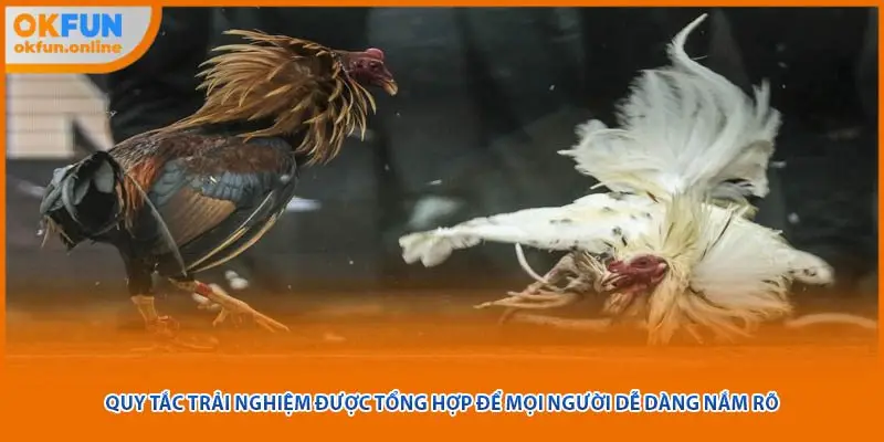 Quy tắc trải nghiệm được tổng hợp để mọi người dễ dàng nắm rõ